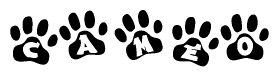 The image shows a row of animal paw prints, each containing a letter. The letters spell out the word Cameo within the paw prints.