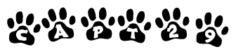 The image shows a row of animal paw prints, each containing a letter. The letters spell out the word Capt29 within the paw prints.