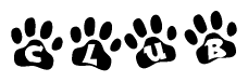 The image shows a series of animal paw prints arranged horizontally. Within each paw print, there's a letter; together they spell Club