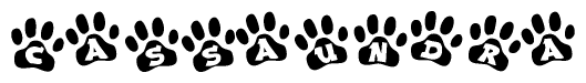 The image shows a series of animal paw prints arranged in a horizontal line. Each paw print contains a letter, and together they spell out the word Cassaundra.