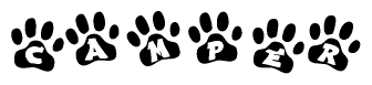 The image shows a series of animal paw prints arranged horizontally. Within each paw print, there's a letter; together they spell Camper