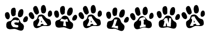 The image shows a series of animal paw prints arranged horizontally. Within each paw print, there's a letter; together they spell Catalina
