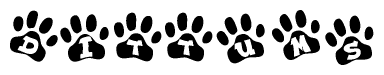 The image shows a row of animal paw prints, each containing a letter. The letters spell out the word Dittums within the paw prints.