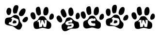 The image shows a series of animal paw prints arranged in a horizontal line. Each paw print contains a letter, and together they spell out the word Dwscdw.
