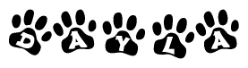 The image shows a series of animal paw prints arranged in a horizontal line. Each paw print contains a letter, and together they spell out the word Dayla.