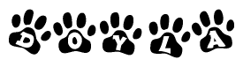 The image shows a series of animal paw prints arranged horizontally. Within each paw print, there's a letter; together they spell Doyla