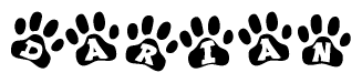 The image shows a series of animal paw prints arranged horizontally. Within each paw print, there's a letter; together they spell Darian
