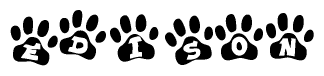 The image shows a row of animal paw prints, each containing a letter. The letters spell out the word Edison within the paw prints.