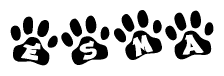 The image shows a series of animal paw prints arranged horizontally. Within each paw print, there's a letter; together they spell Esma