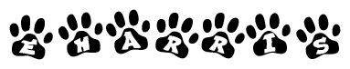 The image shows a series of animal paw prints arranged in a horizontal line. Each paw print contains a letter, and together they spell out the word Eharris.