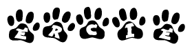The image shows a series of animal paw prints arranged horizontally. Within each paw print, there's a letter; together they spell Ercie