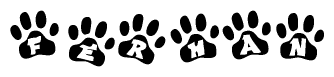 The image shows a series of animal paw prints arranged in a horizontal line. Each paw print contains a letter, and together they spell out the word Ferhan.