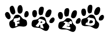 The image shows a row of animal paw prints, each containing a letter. The letters spell out the word Fred within the paw prints.