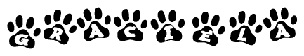 The image shows a series of animal paw prints arranged horizontally. Within each paw print, there's a letter; together they spell Graciela