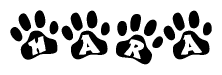 The image shows a series of animal paw prints arranged horizontally. Within each paw print, there's a letter; together they spell Hara