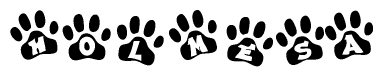 The image shows a series of animal paw prints arranged in a horizontal line. Each paw print contains a letter, and together they spell out the word Holmesa.