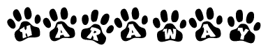 The image shows a row of animal paw prints, each containing a letter. The letters spell out the word Haraway within the paw prints.