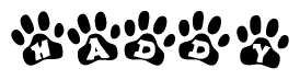 The image shows a row of animal paw prints, each containing a letter. The letters spell out the word Haddy within the paw prints.