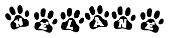 The image shows a series of animal paw prints arranged in a horizontal line. Each paw print contains a letter, and together they spell out the word Helane.