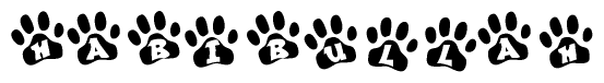 The image shows a series of animal paw prints arranged in a horizontal line. Each paw print contains a letter, and together they spell out the word Habibullah.