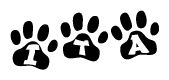 The image shows a row of animal paw prints, each containing a letter. The letters spell out the word Ita within the paw prints.