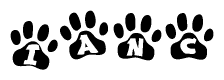 The image shows a series of animal paw prints arranged in a horizontal line. Each paw print contains a letter, and together they spell out the word Ianc.