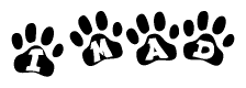 The image shows a series of animal paw prints arranged in a horizontal line. Each paw print contains a letter, and together they spell out the word Imad.
