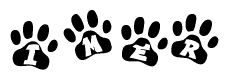 The image shows a series of animal paw prints arranged horizontally. Within each paw print, there's a letter; together they spell Imer