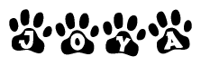 The image shows a series of animal paw prints arranged horizontally. Within each paw print, there's a letter; together they spell Joya