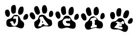 The image shows a series of animal paw prints arranged horizontally. Within each paw print, there's a letter; together they spell Jacie
