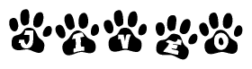 The image shows a row of animal paw prints, each containing a letter. The letters spell out the word Jiveo within the paw prints.