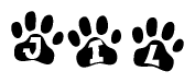 The image shows a row of animal paw prints, each containing a letter. The letters spell out the word Jil within the paw prints.