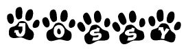 The image shows a series of animal paw prints arranged in a horizontal line. Each paw print contains a letter, and together they spell out the word Jossy.