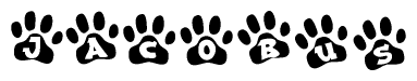 The image shows a series of animal paw prints arranged horizontally. Within each paw print, there's a letter; together they spell Jacobus
