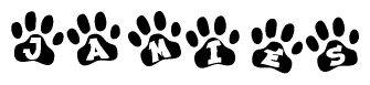 The image shows a series of animal paw prints arranged horizontally. Within each paw print, there's a letter; together they spell Jamies