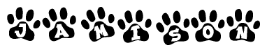 The image shows a series of animal paw prints arranged horizontally. Within each paw print, there's a letter; together they spell Jamison