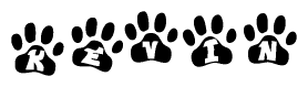The image shows a series of animal paw prints arranged horizontally. Within each paw print, there's a letter; together they spell Kevin