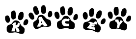 The image shows a row of animal paw prints, each containing a letter. The letters spell out the word Kacey within the paw prints.