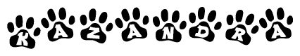 The image shows a series of animal paw prints arranged in a horizontal line. Each paw print contains a letter, and together they spell out the word Kazandra.