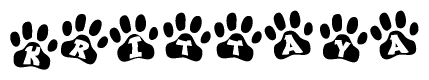 The image shows a series of animal paw prints arranged in a horizontal line. Each paw print contains a letter, and together they spell out the word Krittaya.