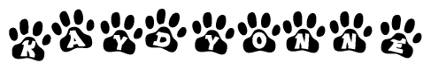The image shows a series of animal paw prints arranged horizontally. Within each paw print, there's a letter; together they spell Kaydyonne