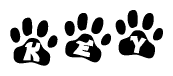 The image shows a series of animal paw prints arranged horizontally. Within each paw print, there's a letter; together they spell Key