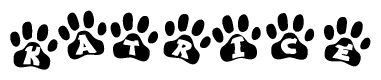 The image shows a series of animal paw prints arranged in a horizontal line. Each paw print contains a letter, and together they spell out the word Katrice.