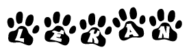 The image shows a series of animal paw prints arranged in a horizontal line. Each paw print contains a letter, and together they spell out the word Lekan.