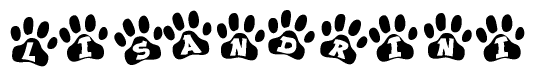 The image shows a series of animal paw prints arranged in a horizontal line. Each paw print contains a letter, and together they spell out the word Lisandrini.