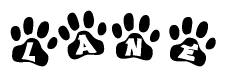 The image shows a series of animal paw prints arranged horizontally. Within each paw print, there's a letter; together they spell Lane