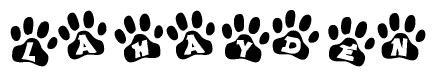 The image shows a series of animal paw prints arranged in a horizontal line. Each paw print contains a letter, and together they spell out the word Lahayden.