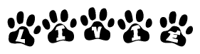 The image shows a series of animal paw prints arranged horizontally. Within each paw print, there's a letter; together they spell Livie