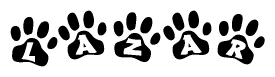 The image shows a row of animal paw prints, each containing a letter. The letters spell out the word Lazar within the paw prints.