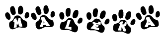 The image shows a series of animal paw prints arranged in a horizontal line. Each paw print contains a letter, and together they spell out the word Maleka.